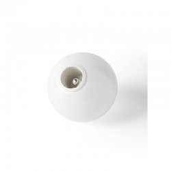 TR Bulb