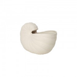 Shell Pot