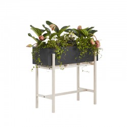Botanic Stand