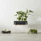Botanic Stand Design House Stockholm