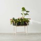 Botanic Stand Design House Stockholm
