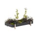 Botanic Tray