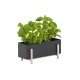 Botanic Box
