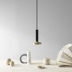 Blend Pendant Pholc