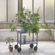 Flow Trolley - 2 Layer Muuto