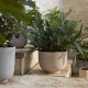 Planter SC 72 &Tradition