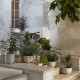 Planter SC 72 &Tradition