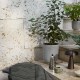 Planter SC 71 &Tradition