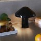 PAO Portable HAY