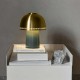 Raku SH8 &Tradition