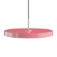 Asteria Ø 43 - Medium Umage