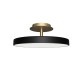 Asteria Up Umage