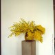 Water Swirl Vase - Round ferm LIVING
