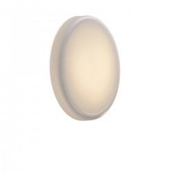 Looped Wall Lamp