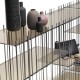 Metrica D Mogg