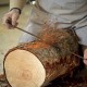 Barena - Rovere freshdesign